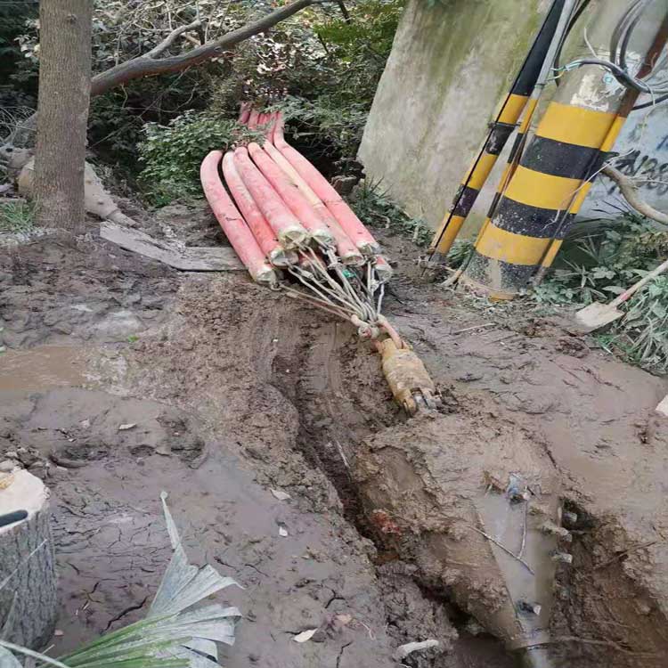 嘉峪关武汉电动拖拉管